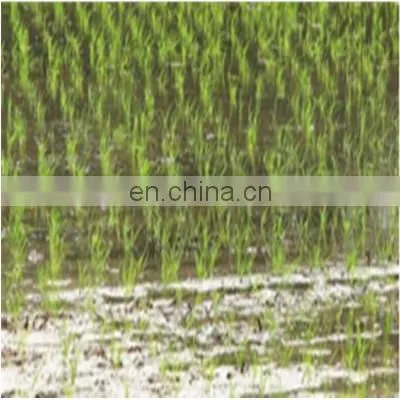 High Quality Rice Hole Direct Seeding Machine photo-4