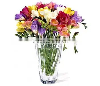 CUT FLOWER