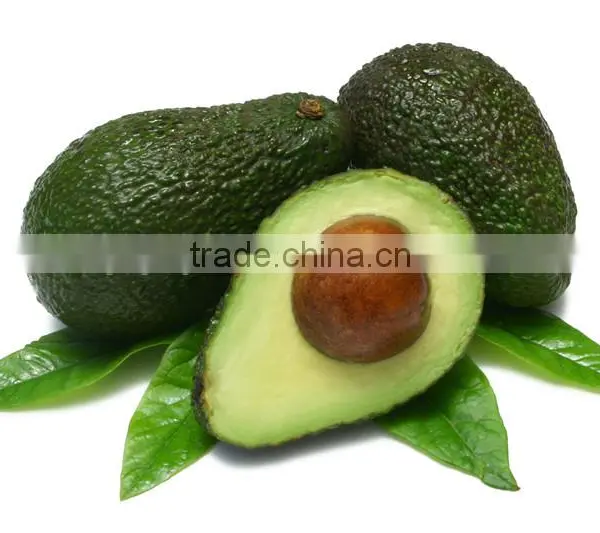Wholesale Cold Pressed Crude Avocado Oil With Aromatherapy Cosmetic Grade Base Oil photo-4