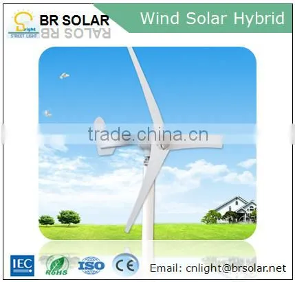 Professional Manufacuturer 5 Years Warranty Wind Solar Hybrid Power System photo-4