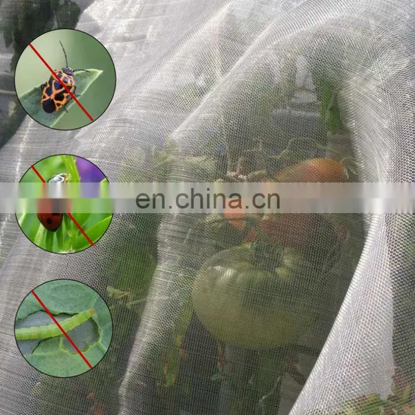Agriculture Apple Tree Protection Anti Hail Bird Insect Net for Agriculture Protection photo-4