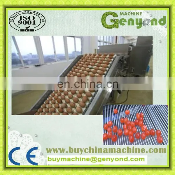 Industrial Salt Egg Yolk Egg White Separator photo-5