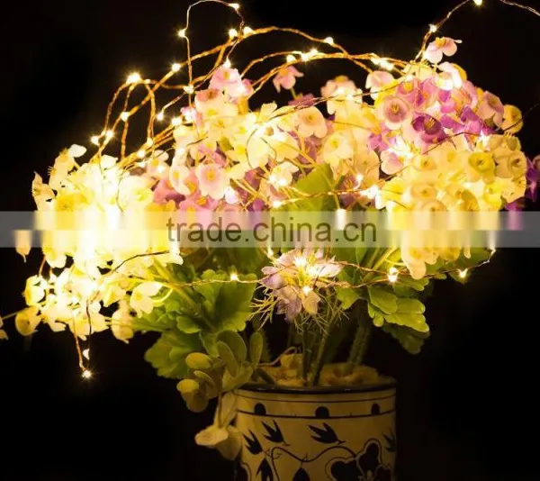 AAA Battery Operated LED Copper Wire String Light photo-2
