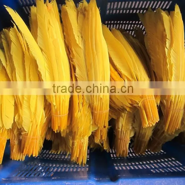 Wholesale Goose Nagoire White Goose Feathers photo-2