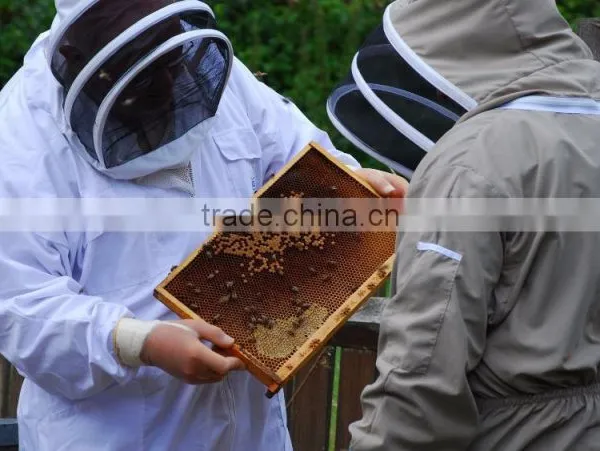 Low Price Antistatic Garment /Beekeepering Suit Coverall/protective Suit