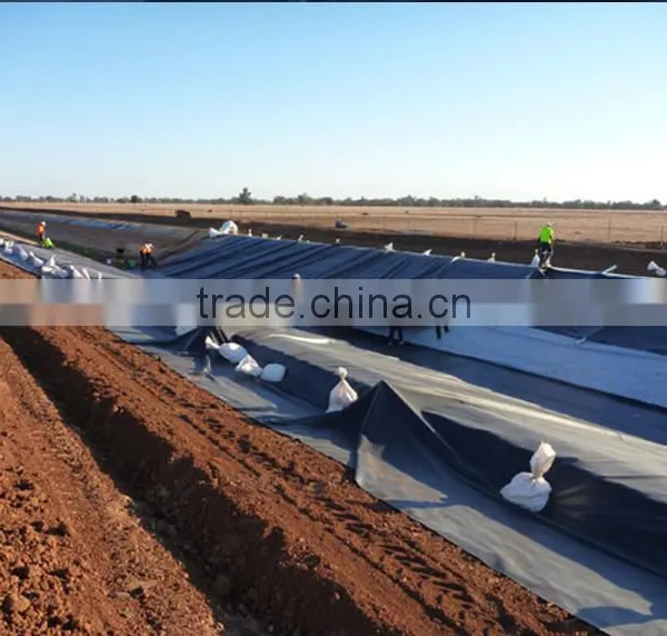 HDPE Geomembrane(1.5mm) for Fish Pond or Landfill Projects photo-2