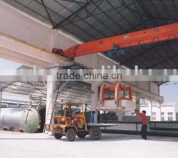 5T Single-beam Traveling Crane