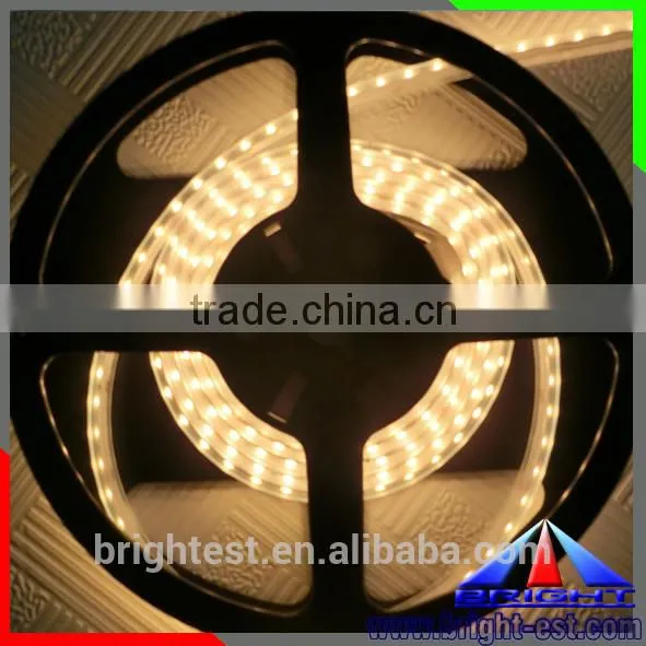 Shenzhen Wholesale LED Flexible Strip IP65 Full Color 5050 12V Led Strip 60 Lights Strips Light photo-5