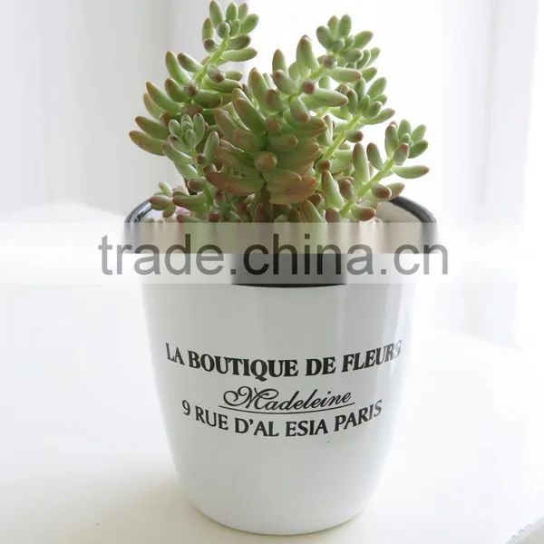 Flower Pot, Planter, Flowerpot