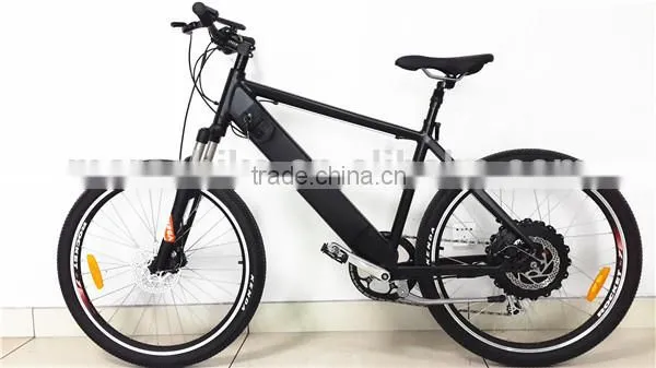 Electric Bicycle With the Inside Battery