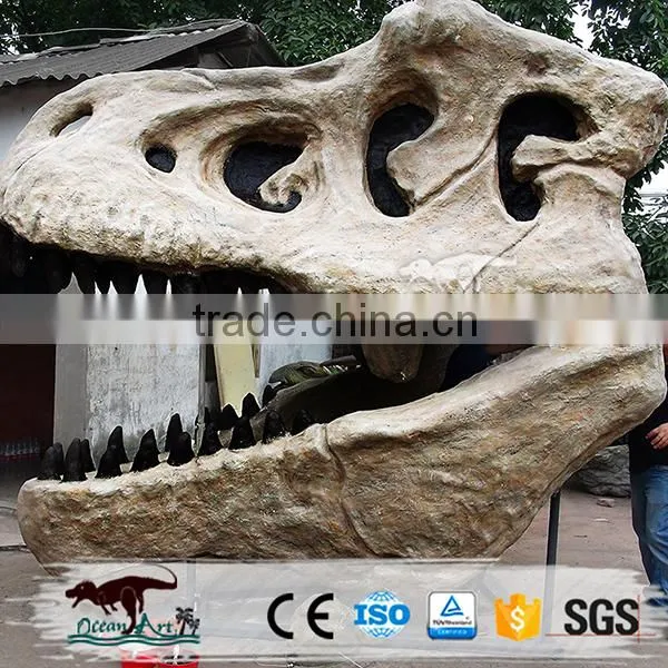 OA-DS-20160505S9 Life Size Dinosaur Head Fossil photo-2