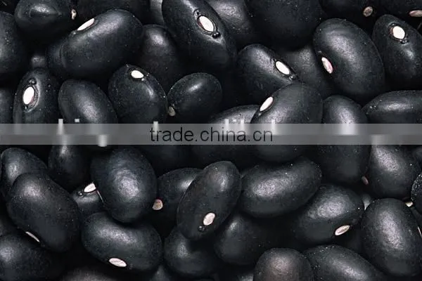 Black Beans New Crop photo-3