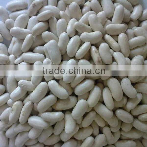We Are Supply Kidney Beans, Medium White Kidney Beans With Competitive Price Quality Choice photo-2