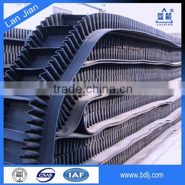 High Quality 90 Degree Conveyor Belt photo-4