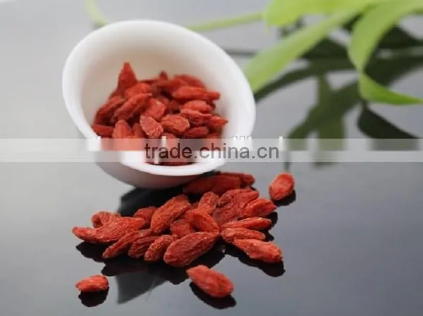 NingXia Hot Sale Goji Berry/medlar photo-2
