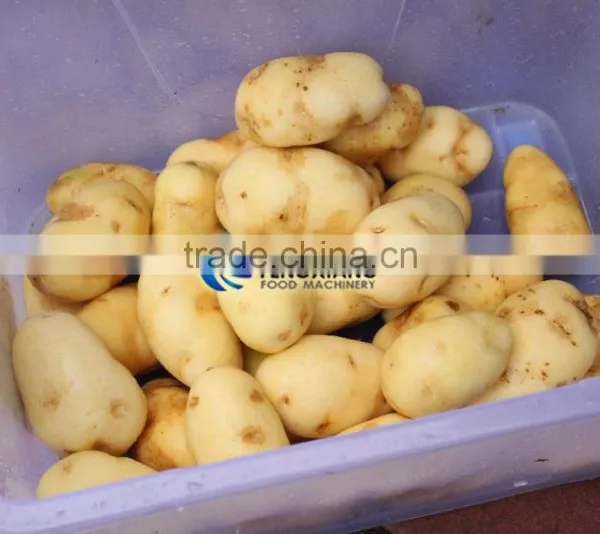 Commercial Turnip Fruit Vegetable Washing and Peeling Potato Ginger Washer and Peeler Machine photo-3