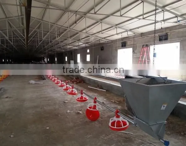 Complete Poultry Farming Equipment for Breeders and Broilers