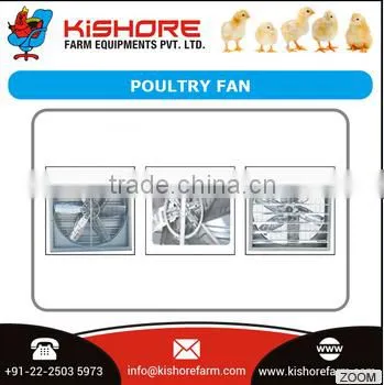 High Quality Chicken Poultry Equipment photo-2