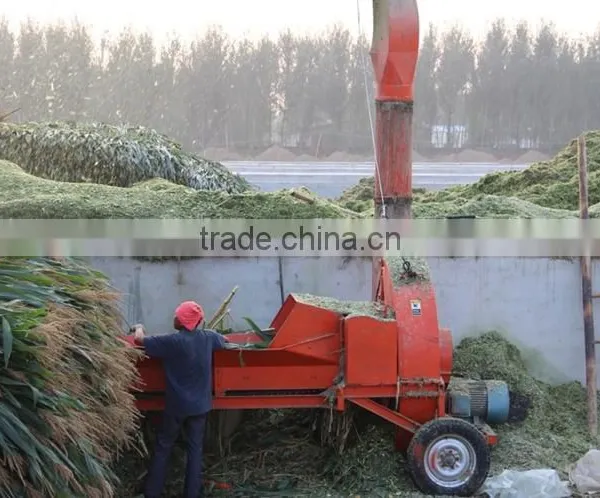 Neweek Agricultural Large Silage Dry Grass Chaff Cutting Machine photo-3