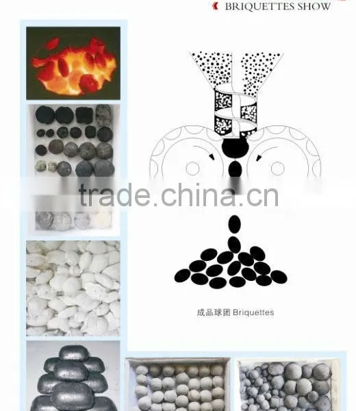 Coal Dust Briquette Making Line Coal Fines Briquette Production Line for Hot Sale photo-4