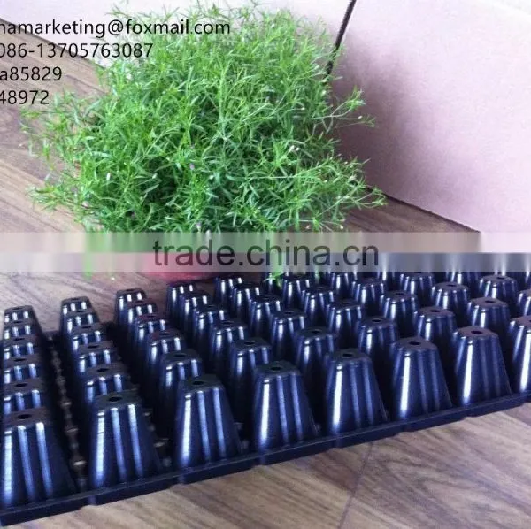 High Quality Vegetable Plastic Nursery Seedling Tray Black Plastic Plant Seed Growing Tray photo-5