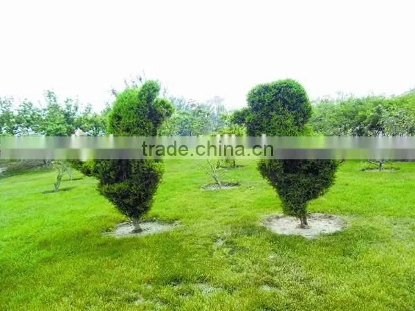 Factory Price High Quality Artificial Green Sculpture for Decoration photo-3