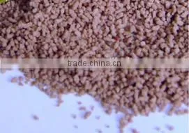 Hot Sale High Quality Instant Jujube Ginger Tea China Manufacturer 7g*20bags /18g*10bags / photo-2