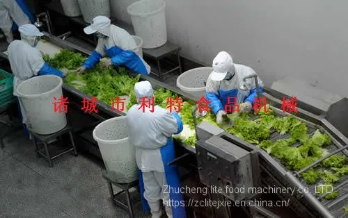 Clean vegetable processing line Central kitchen net production line Clean vegetable processing equipment