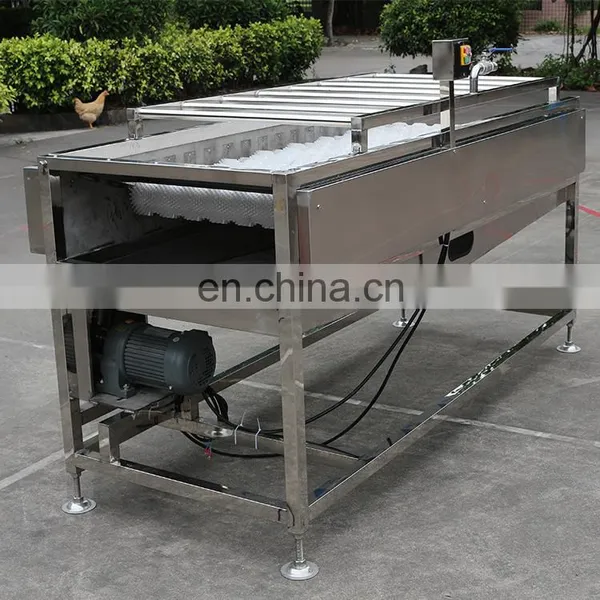 Automatic Lemon Plum Cherry Blue Berry Fruit Washer Brush Rollers Baby Carrot Potato Turnip Vegetable Washing Machine on Sale photo-5