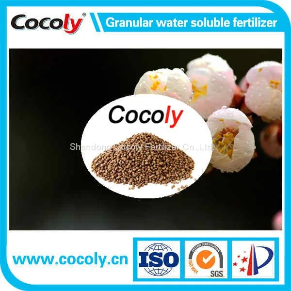 Cocoly гранулированный водорастворимый удобрение Гумовая кислота
