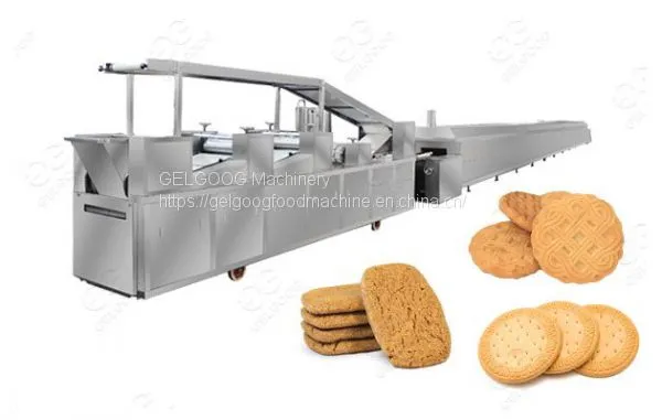 Automatic Biscuit Making Production Line Price Gelgoog.com photo-3