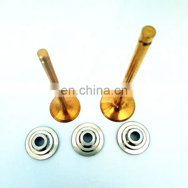 Turbo Engine Intake Exhaust Valve OEM 897309675-1 Diesel Race Car 4JX1 4JB1 4JA1 4HL1 4HK1 4JJ1 for ISUZU D-MAX Dmax 4jj photo-3
