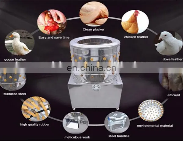 Poultry Hair Removal Machine / Plucking Machine / Bird/quail/chicken/ Sparrow Feather Plucker photo-7