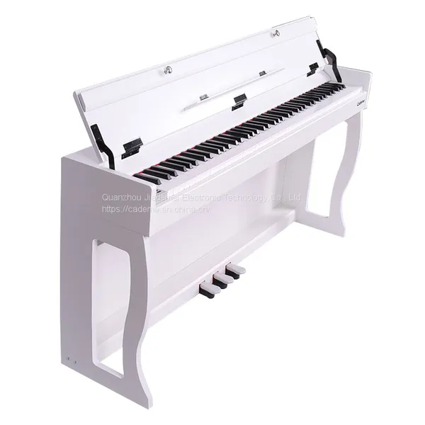 China's Best-selling Digital Grand Baby Piano 88 Keys Digital Piano photo-3