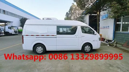 Customized FOTON G7 Double-cab 0.5T Refrigerated Minivan Car for Sale photo-2