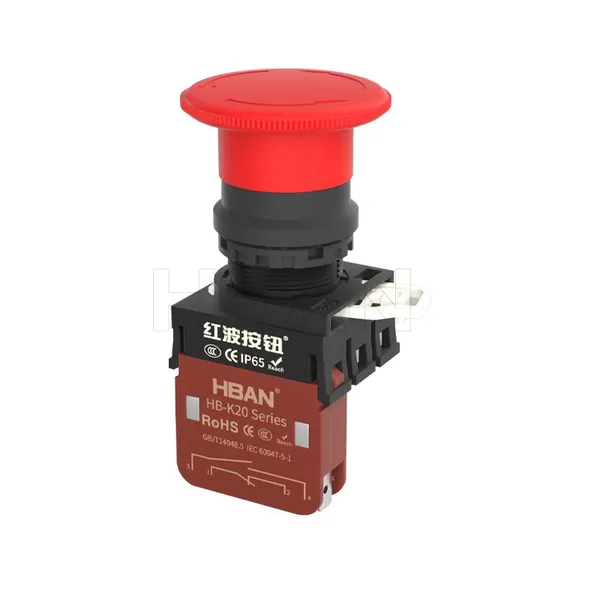 Ip65 22mm Plastic Red Flat Head 20a 1NO 1NC Emergency off Switch Self Locking