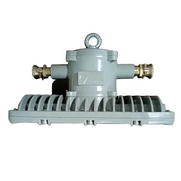 DGS50Ex Mine Radar Induction Flame-proof LED Laneway Lamp photo-5