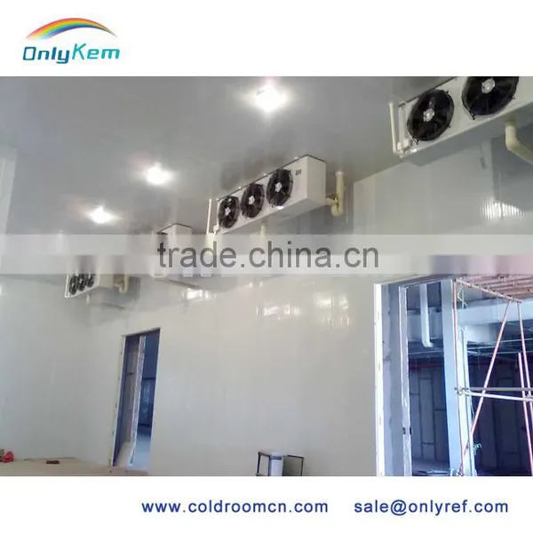 Walk-in Industrial Refrigeration Chamber/ Fridge Freezer/cold Room Price Quality Choice photo-3
