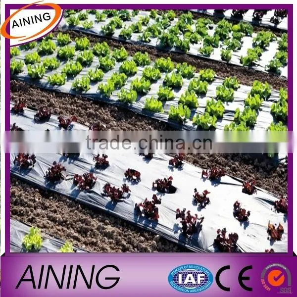 Mulch Film for Plant
