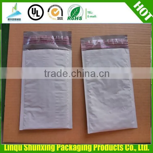 Express Carrier Plastic Envelope Bags /coin Bag/bank Bag photo-3