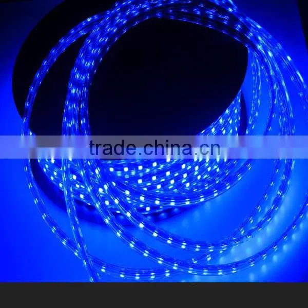 High Brigtness Two Row 3014 Smd Flexible LED Strip Light 3014/3528/5050/5730 Smd Led Light UL Listed Quality Choice photo-2