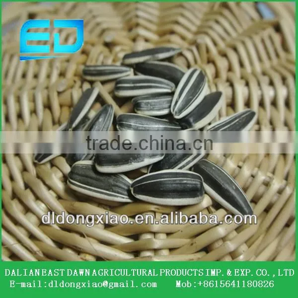 2015 New Crop Chinese Sunflower Seeds for High Quality photo-3