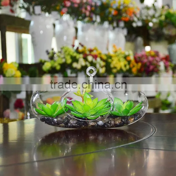 Hanging Boyu Terrarium Artificial Plants Succulent Plant