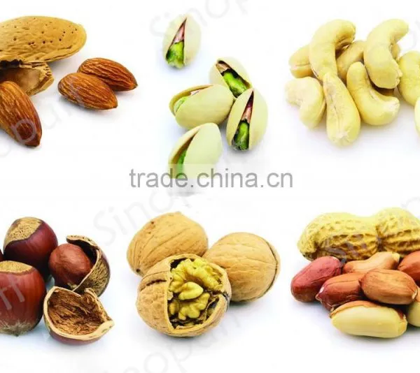 Electrical Nut Roaster Peanut Roasting Machine For Peanut Processing Industry photo-4