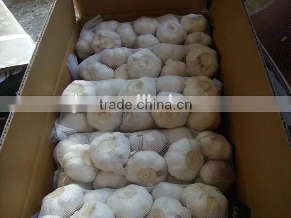 Chinese New Garlice Price photo-3