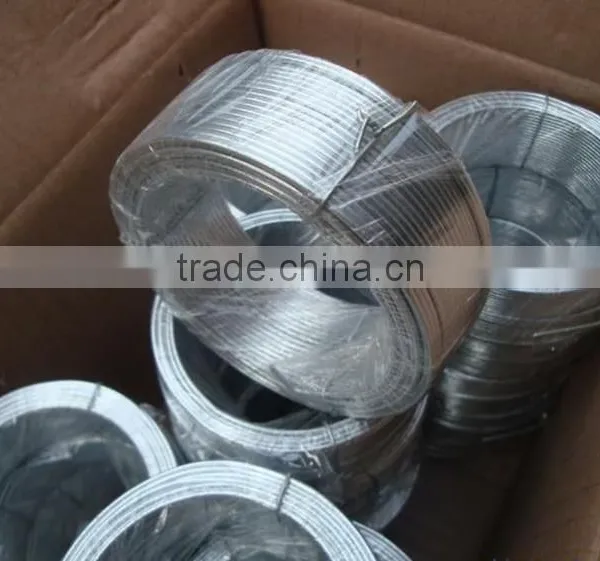 Hot Dipped Galvanized Wire, Eletro Galvanized Wire photo-5
