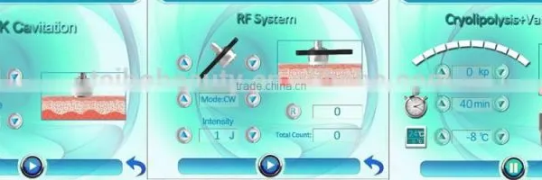 Skin Tightening Newest Cryo Slimming Zeltiq Fat Freeze Machines Cryolipolysis Laser photo-4