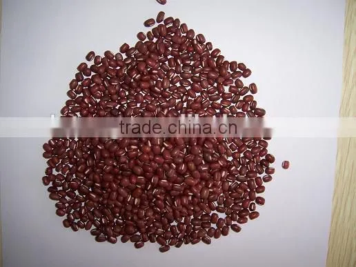 2015 New Crop the British Red Kidney Beans From China photo-5
