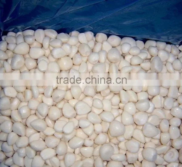 Factory of Frozen Peeled Garlic photo-3