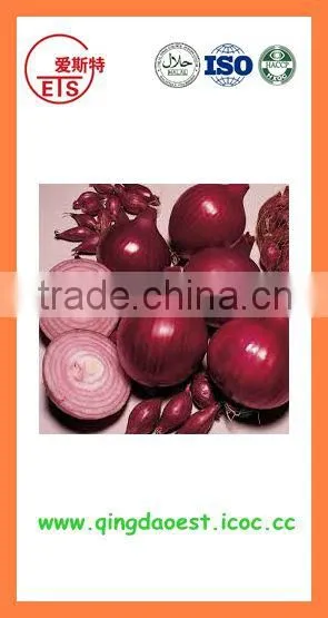 Fresh New Crop Red Onion From China photo-5